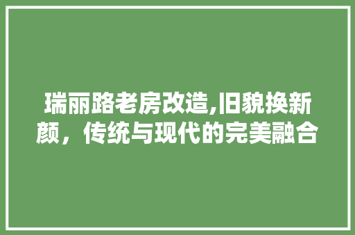 瑞丽路老房改造,旧貌换新颜，传统与现代的完美融合