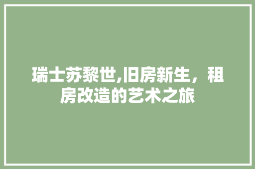 瑞士苏黎世,旧房新生，租房改造的艺术之旅