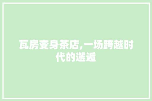 瓦房变身茶店,一场跨越时代的邂逅