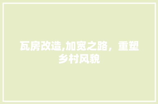瓦房改造,加宽之路，重塑乡村风貌