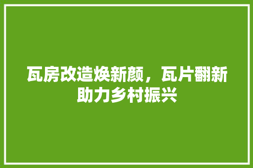 瓦房改造焕新颜，瓦片翻新助力乡村振兴