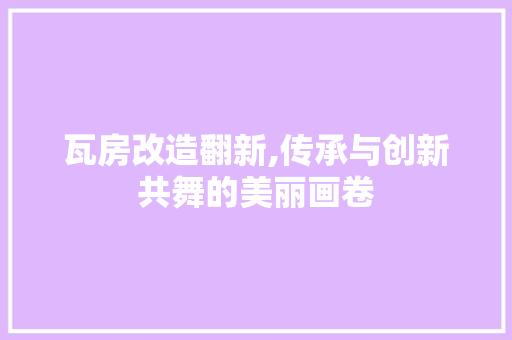 瓦房改造翻新,传承与创新共舞的美丽画卷