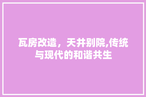 瓦房改造，天井别院,传统与现代的和谐共生