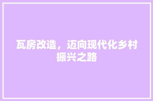 瓦房改造，迈向现代化乡村振兴之路 户内维修