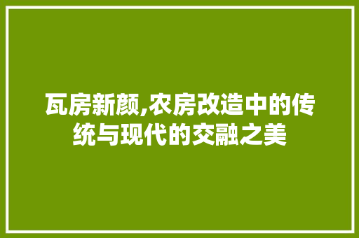 瓦房新颜,农房改造中的传统与现代的交融之美