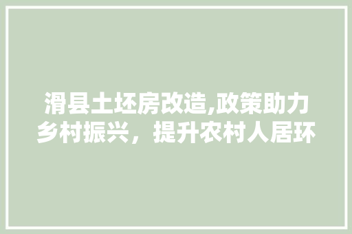滑县土坯房改造,政策助力乡村振兴，提升农村人居环境
