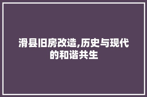 滑县旧房改造,历史与现代的和谐共生