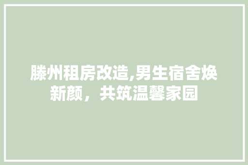 滕州租房改造,男生宿舍焕新颜，共筑温馨家园