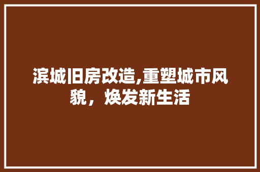 滨城旧房改造,重塑城市风貌，焕发新生活