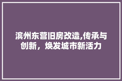 滨州东营旧房改造,传承与创新，焕发城市新活力