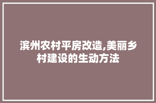 滨州农村平房改造,美丽乡村建设的生动方法