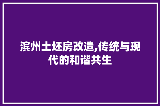 滨州土坯房改造,传统与现代的和谐共生