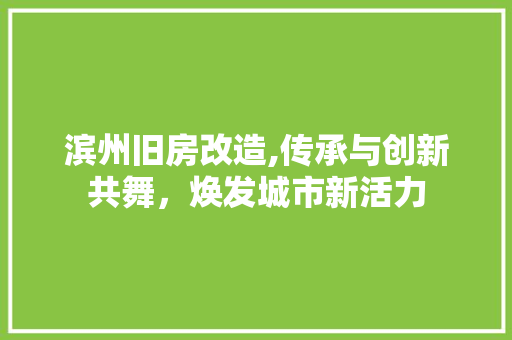 滨州旧房改造,传承与创新共舞，焕发城市新活力