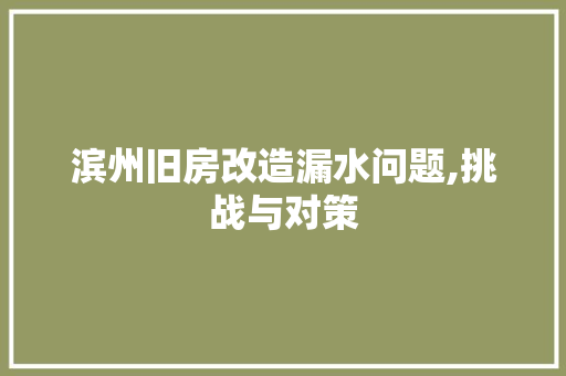 滨州旧房改造漏水问题,挑战与对策