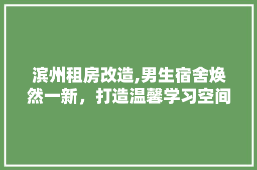 滨州租房改造,男生宿舍焕然一新，打造温馨学习空间