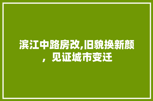 滨江中路房改,旧貌换新颜，见证城市变迁 墙体维修