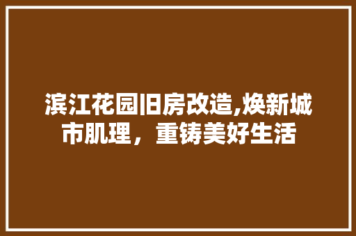 滨江花园旧房改造,焕新城市肌理，重铸美好生活