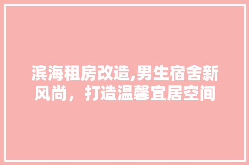 滨海租房改造,男生宿舍新风尚，打造温馨宜居空间