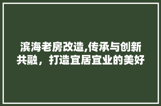 滨海老房改造,传承与创新共融，打造宜居宜业的美好家园