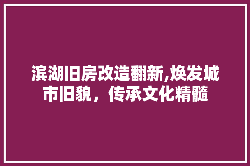 滨湖旧房改造翻新,焕发城市旧貌，传承文化精髓