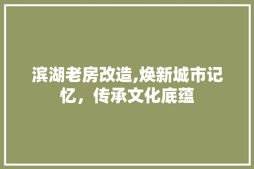 滨湖老房改造,焕新城市记忆，传承文化底蕴