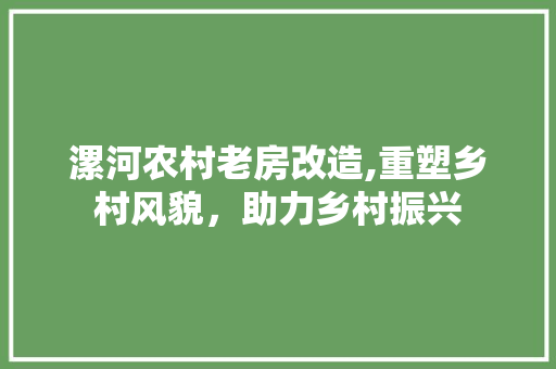 漯河农村老房改造,重塑乡村风貌，助力乡村振兴