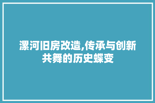 漯河旧房改造,传承与创新共舞的历史蝶变