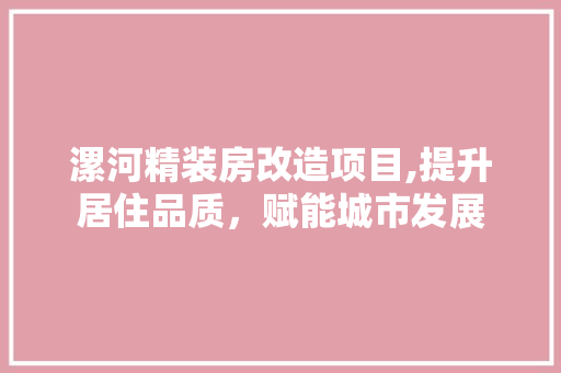 漯河精装房改造项目,提升居住品质，赋能城市发展