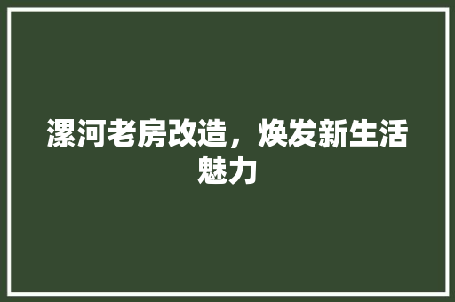 漯河老房改造，焕发新生活魅力