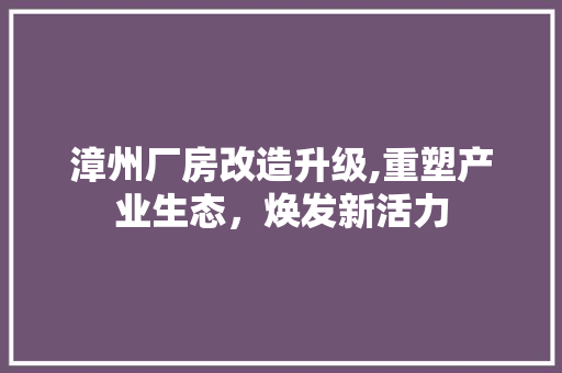 漳州厂房改造升级,重塑产业生态，焕发新活力