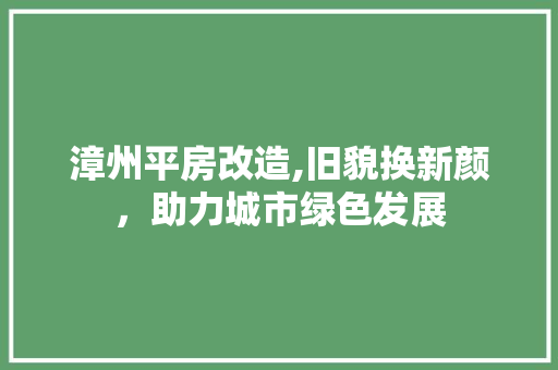 漳州平房改造,旧貌换新颜，助力城市绿色发展