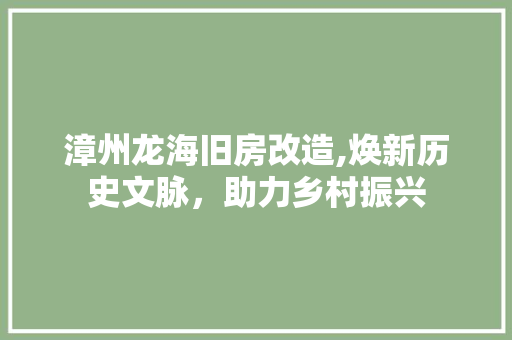 漳州龙海旧房改造,焕新历史文脉，助力乡村振兴