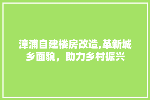 漳浦自建楼房改造,革新城乡面貌，助力乡村振兴