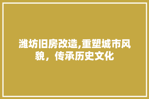 潍坊旧房改造,重塑城市风貌，传承历史文化