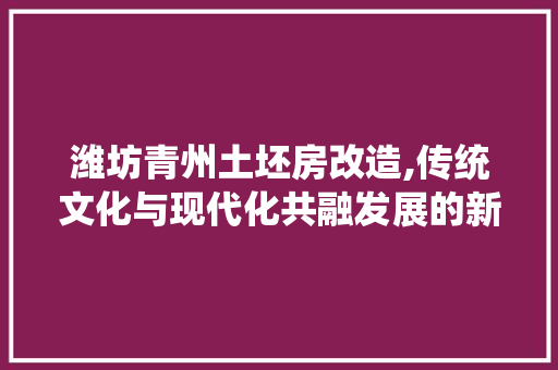 潍坊青州土坯房改造,传统文化与现代化共融发展的新篇章