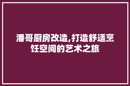 潘哥厨房改造,打造舒适烹饪空间的艺术之旅