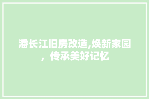 潘长江旧房改造,焕新家园，传承美好记忆