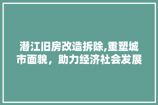 潜江旧房改造拆除,重塑城市面貌，助力经济社会发展