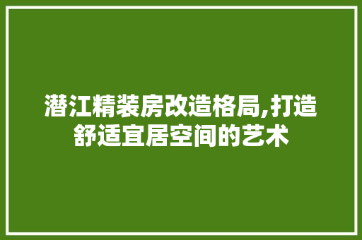 潜江精装房改造格局,打造舒适宜居空间的艺术