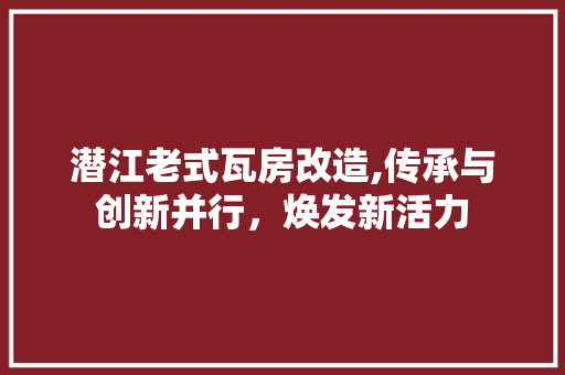 潜江老式瓦房改造,传承与创新并行，焕发新活力