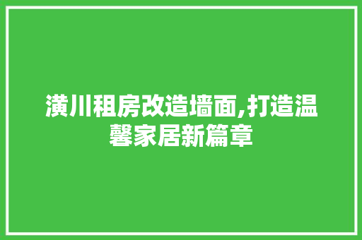 潢川租房改造墙面,打造温馨家居新篇章