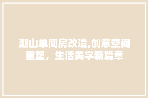 潮山单间房改造,创意空间重塑，生活美学新篇章