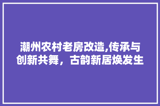 潮州农村老房改造,传承与创新共舞，古韵新居焕发生机