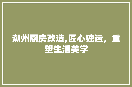 潮州厨房改造,匠心独运，重塑生活美学