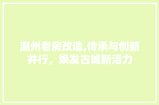 潮州老房改造,传承与创新并行，焕发古城新活力