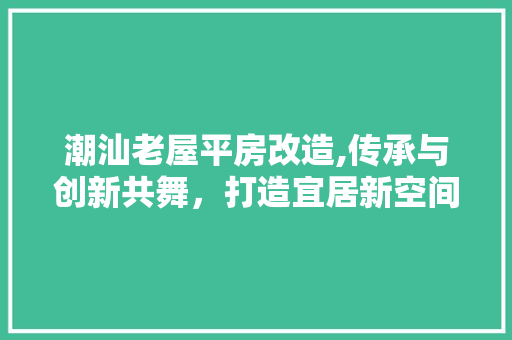 潮汕老屋平房改造,传承与创新共舞，打造宜居新空间