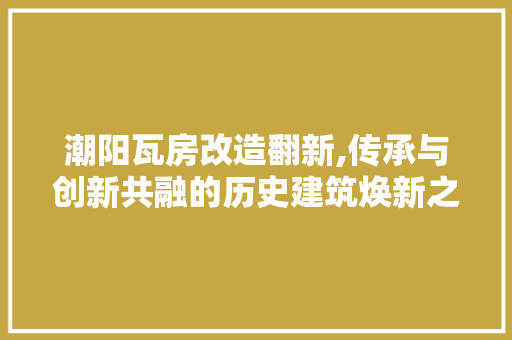 潮阳瓦房改造翻新,传承与创新共融的历史建筑焕新之旅