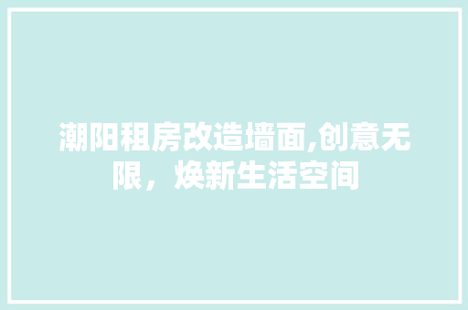 潮阳租房改造墙面,创意无限，焕新生活空间