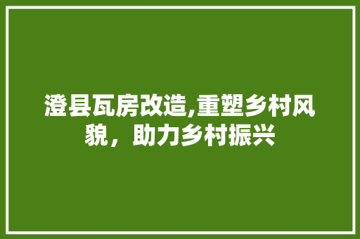 澄县瓦房改造,重塑乡村风貌，助力乡村振兴