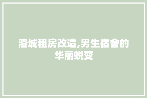 澄城租房改造,男生宿舍的华丽蜕变
